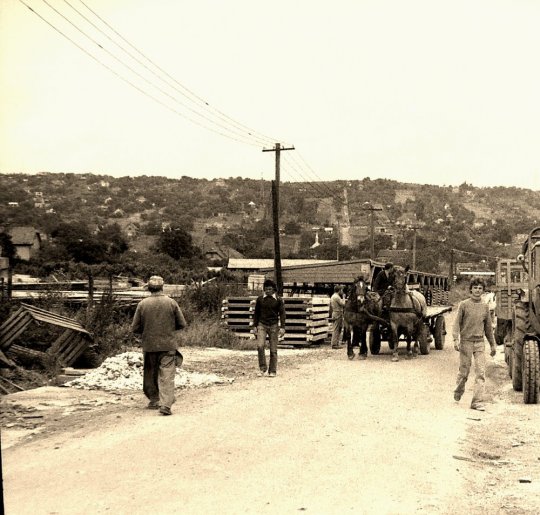 Obuda Koperativ, 1978.